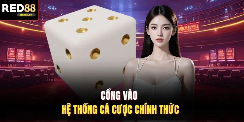 Cổng vào hệ thống cá cược chính thức