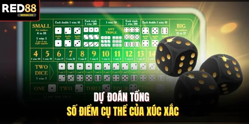 Dự đoán tổng số điểm cụ thể của xúc xắc