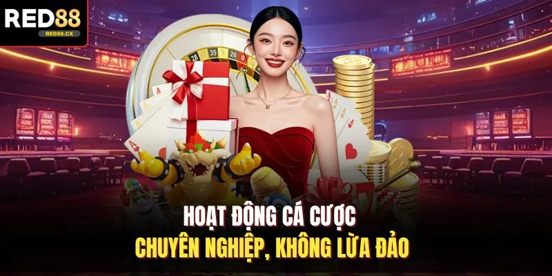 Hoạt động cá cược chuyên nghiệp, không lừa đảo