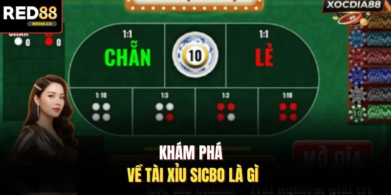 Khám phá về tài xỉu sicbo là gì