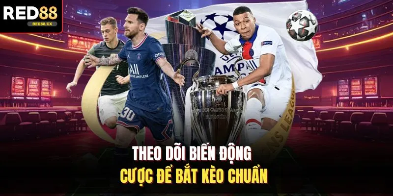 Theo dõi biến động cược để bắt kèo chuẩn